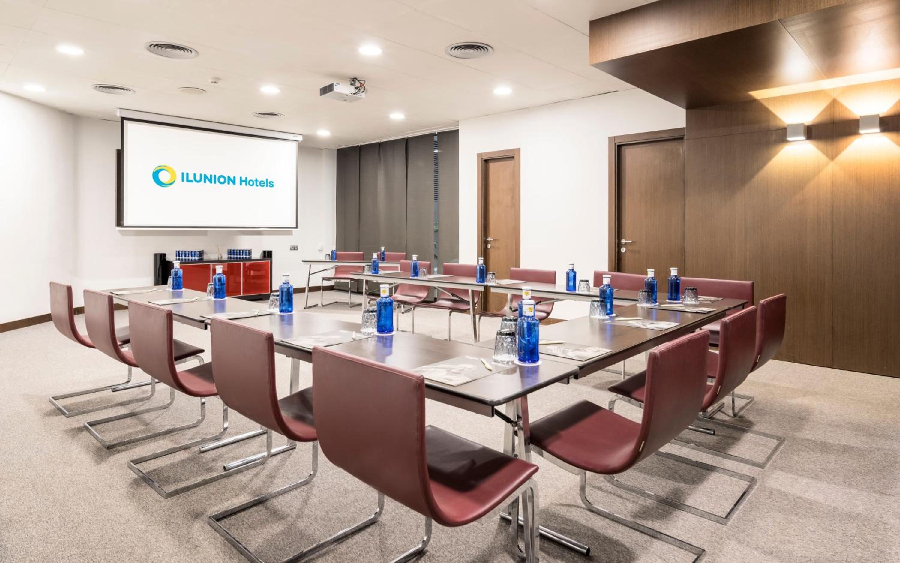 Ilunion Auditori
